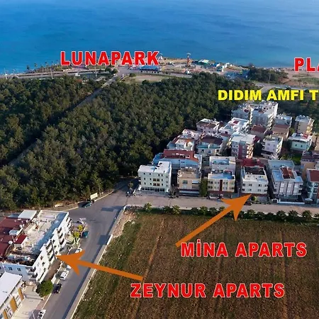 Camlik Zeynur * 迪迪姆